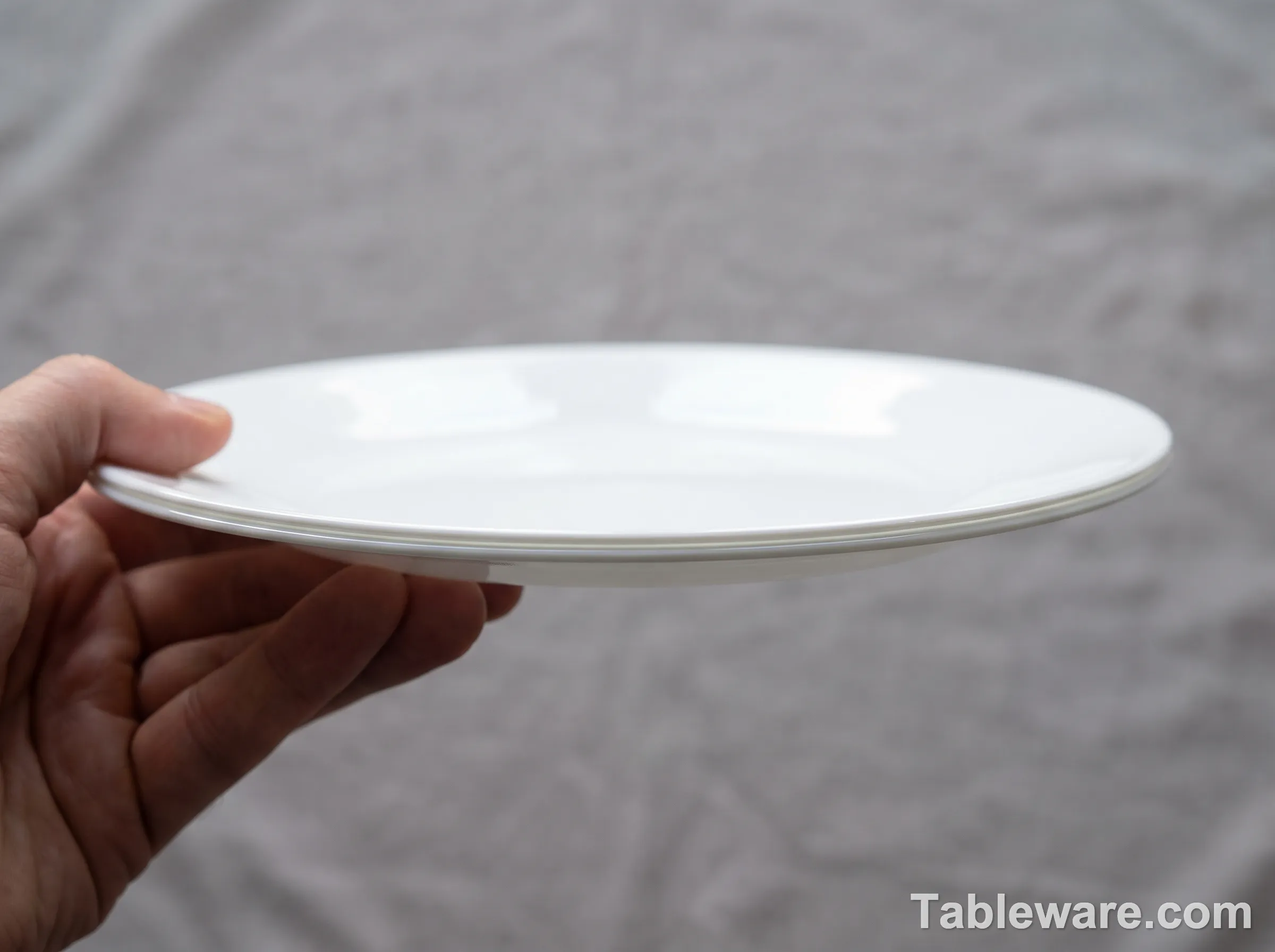 Corelle Vitrelle plate held edge-on to show the three-layer laminate glass structure and thinness